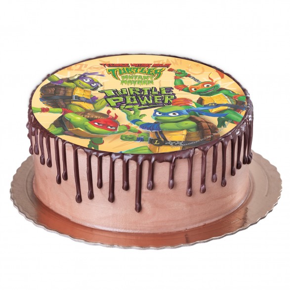 Edible Cake Topper - Teenage mutant ninja turtle