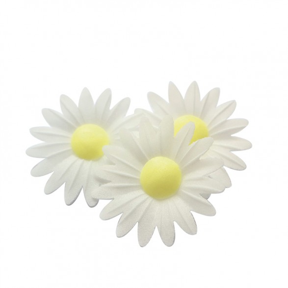 80 Wafer White Daisies