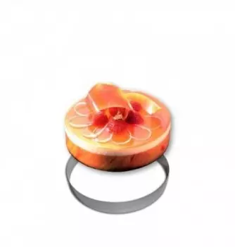 Stainless Steel Entremet Ring (Ø 18cm)