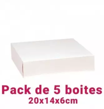 Lot de 5 boites pâtissières rectangulaire blc 20x14x6cm