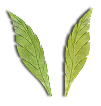 Feather Leaves (200mm) - Silicone Print