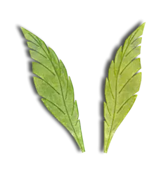 Feather Leaves (150mm) - Silicone Print