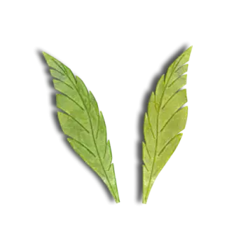 Feather Leaves (110mm) - Silicone Print