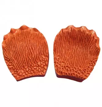 Empreinte Silicone Feuille Cactus